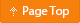 PageTop